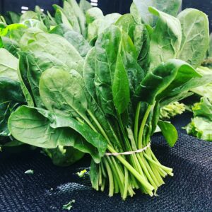 Spinach during Menopause